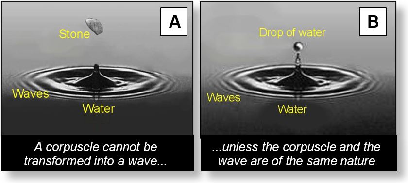 Wave-Particle Duality: Solid and wave behaviours