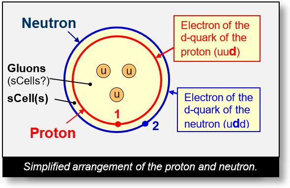 Arrangement of quarks inside a proton or a neutron.