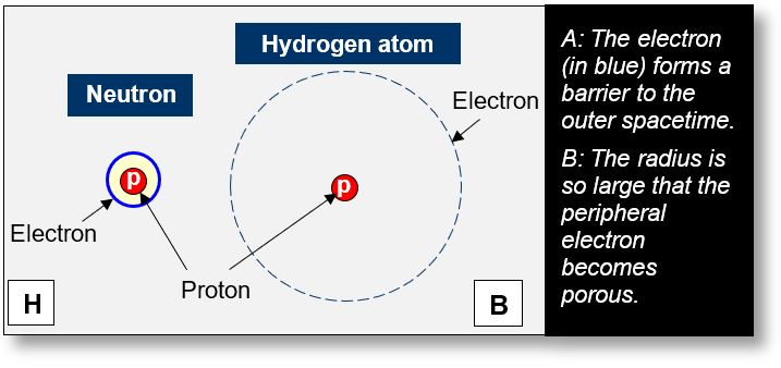 Shows the difference between a neutron and an hydrogen atom.