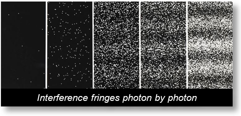 Young Slits in electromagnetism: Interference fringes photon by photon.