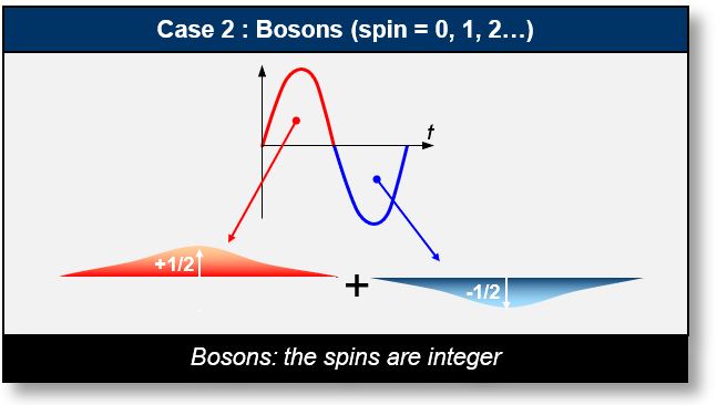 Particles with integer spin values — such as photons or gluons — are classified as bosons.