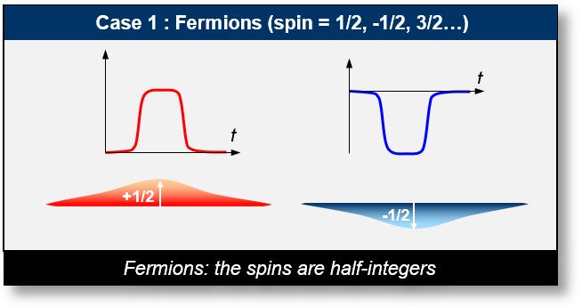 If spin is half-integer multiples of ħ, the particle is called 'fermion'.