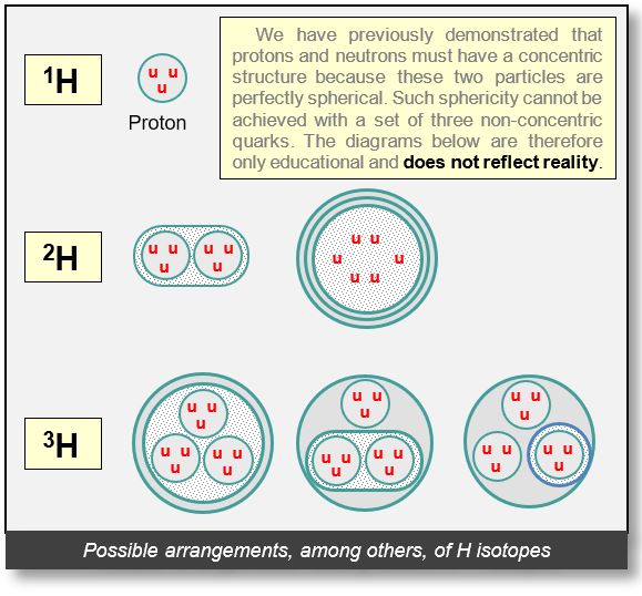 Structure of the nucleus of hydrogen isotops.