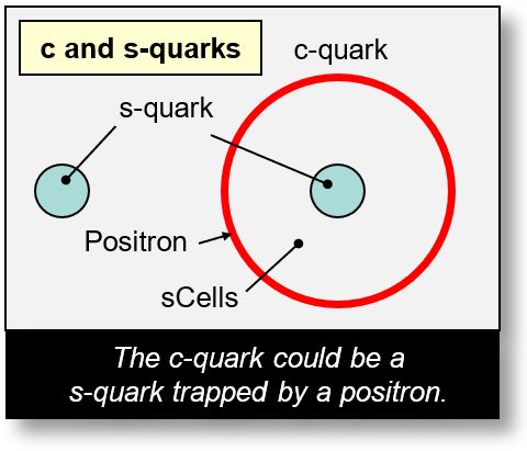 Quarks c and quarks s.