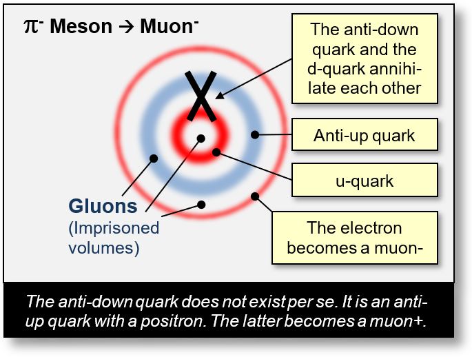 Decay of a pion- into a muon in a concentric scheme within the Spacetime Model.