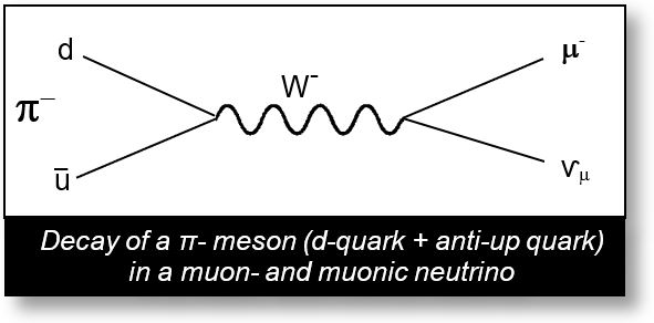 Decay of a pion- to a muon in the current view.