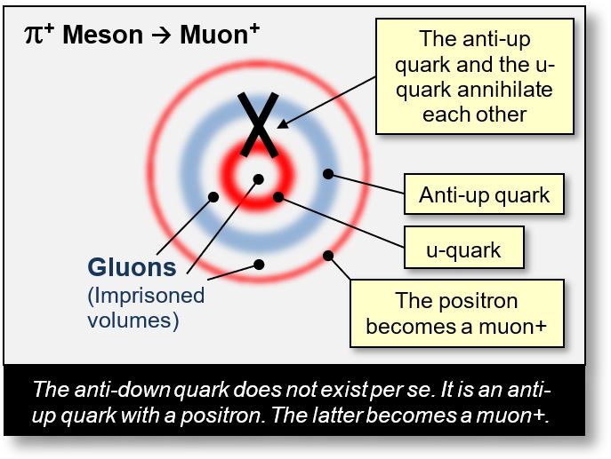 Decay of a pion+ into a muon in a concentric scheme within the Spacetime Model.
