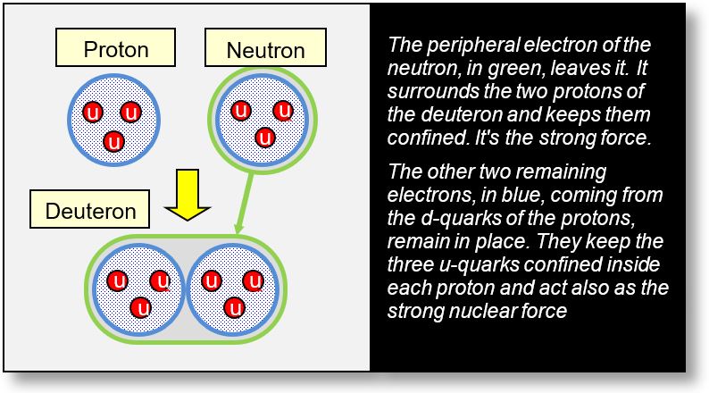 Structure of the deuteron nucleus.