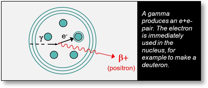 Origin of the positron emitted during a beta-plus radioactivity.