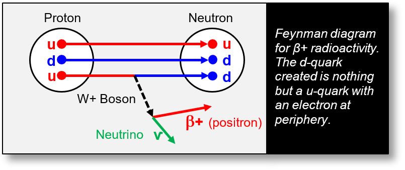 Feynman diagram of a proton-neutron decay.