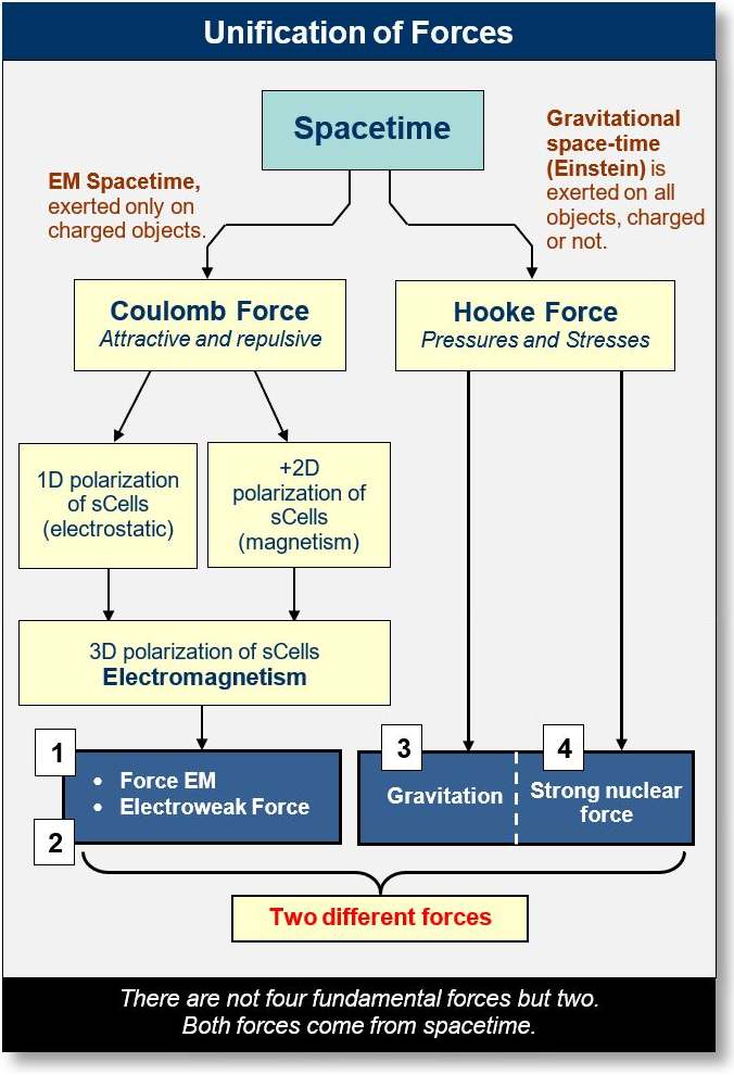 General overview of the four forces.
